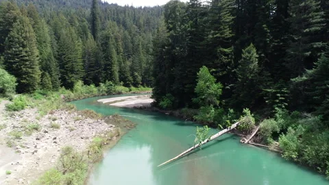 Aerial of river in vast forest Stock Footage 259510140