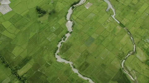 Aerial river winding through green rice fields in Cambodia Vídeo Stock 331947853