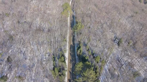 Aerial River Winding Through Leafless Spring Forest Landscape Drone View Stock Footage 327351840