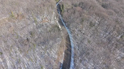 Aerial River Winding Through Leafless Spring Forest Landscape Drone View Stock Footage 327351841