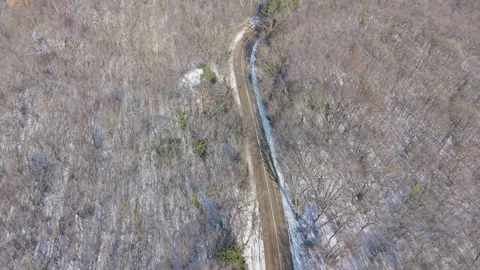 Aerial River Winding Through Leafless Spring Forest Landscape Drone View Stock Footage 327351842