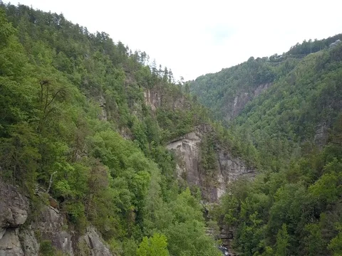 Aerial River/Forest/Gorge Stock Footage 76545410