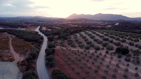 Aerial of a road and crop fields in the countryside at sunset Stock Footage 258286279