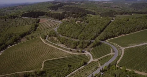 Aerial, a road between huge fields with olive trees and vineyards in Tuscany, Stock-Footage 92577731