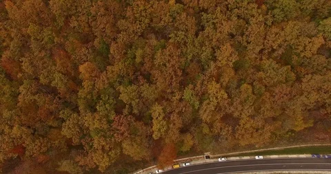 Aerial road Video stock 100087059
