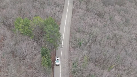 Aerial road through bare forest in early spring landscape scene Stock Footage 326870875