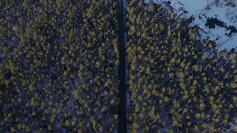 Aerial road through snow pine forest to village plots in Poland Vídeos de archivo 328012296