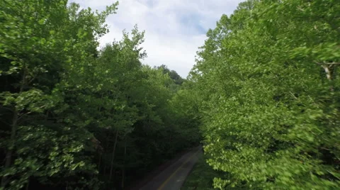 Aerial Road, Trees, Red River Gorge, Daniel Boone Forrest, Appalachian Mountains Video stock 64277698