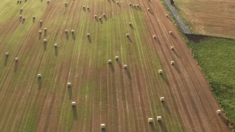 Aerial Roaund bales in field Stock Footage