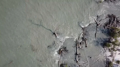Aerial rotate look down the bare mangrove tree at Tanjung Piandang, Perak. Stock Footage 118247889