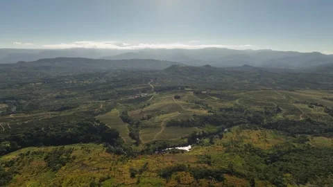 Aerial rotates to panoramic view of avocado plantations in Eastern Zimbabwe 動画素材 344230241