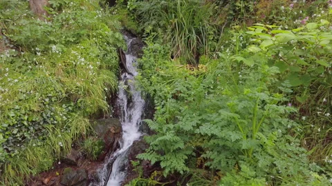 Aerial rotating out from a waterfall surrounded by wildflowers Stock Footage 252533786