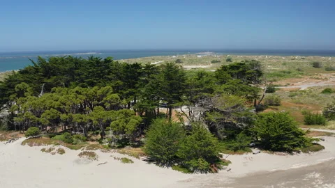 Aerial rotating shot of coastline trees in Eureka California in Pacific ocean Stock Footage 200565254