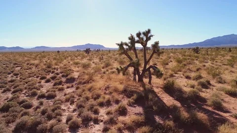 Traveling On Western Desert 4k Gif Animation Stock Video