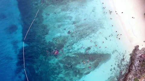 Aerial rotating top down view of tourists snorkelling at the beach Vidéo 162643474