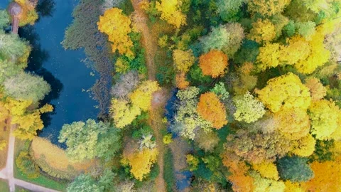 Aerial rotating top-down view of a path in an autumn forest 스톡 동영상 164411351