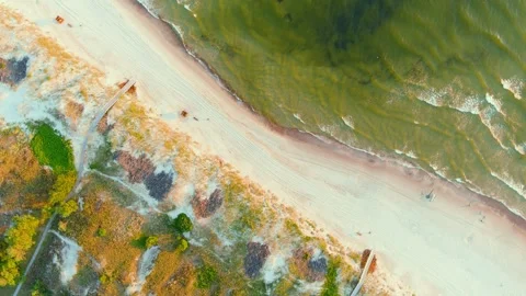 Aerial rotating top-down view of sandy Curonian Spit beaches, Baltic sea shore Vídeos de archivo 247265962