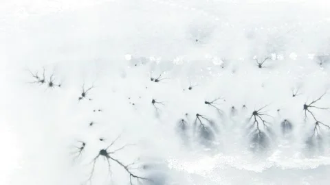 Aerial rotating top-down winter view of frozen lake, ice texture with cracks. 库存影片 258717572