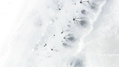 Aerial rotating top-down winter view of frozen Tapeliai lake, Lithuania 스톡 동영상 259522933