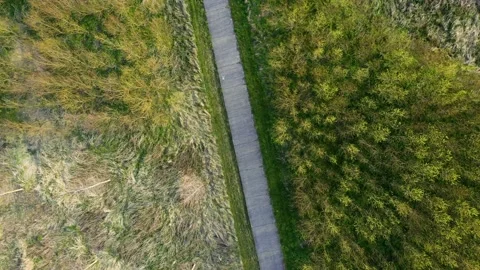 Aerial rotating view of a forest path Stock Footage 152947922