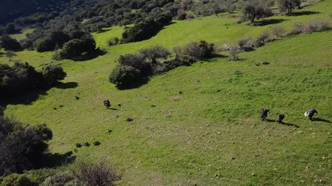 Aerial rotating view of green hillside pasture with hikers exploring Stock Footage 337459279