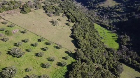 Aerial rotating view of olive groves and farmland in Mediterranean valley Stock Footage 337459113