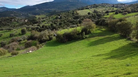 Aerial rotating wide angle of green Mediterranean hills and vast meadows Stock Footage 337460800