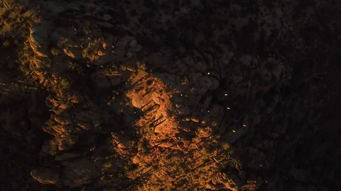 Aerial rotation straight down over cacti in Saguaro National Park, Tucson, AZ Stock Footage 101816560