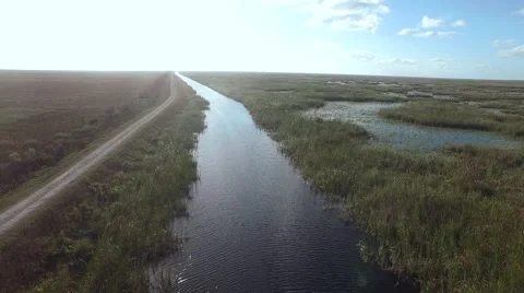 Aerial Running Down The River in the Everglades 2 Stock Footage 48022441