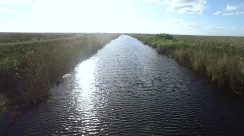 Aerial Running Down The River in the Everglades Stock Footage 48025727