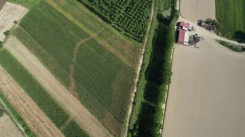 Aerial rural fields Stock Footage 257112722