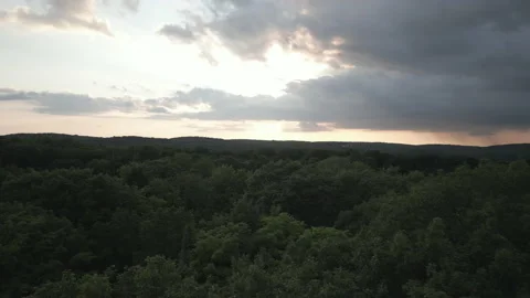 Aerial Rural Magic FlyOverCanopy Stock Footage 236256043