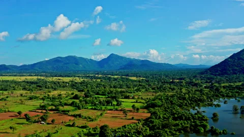 Aerial rural paddy fields toward distant mountains Stock Footage 337915325