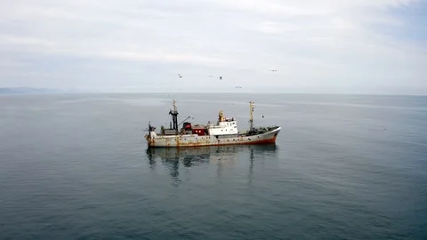 Deep Sea Fishing Trawler Stock Video Footage, Royalty Free Deep Sea  Fishing Trawler Videos
