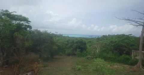 Aerial sailing over the top of trees and jungle towards the water Stock-Footage 66419793