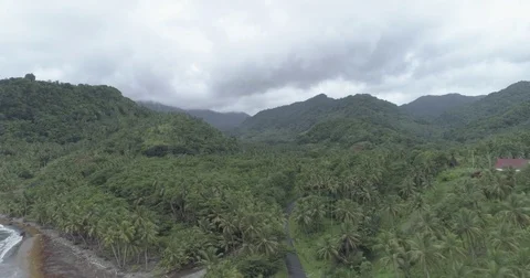 Aerial sails deep into the valley above a jungle in Dominica Video stock 78401413