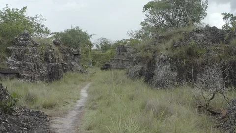 Aerial sails down path of Ciudad de Piedra in Colombia before pushing out Video stock 109139793