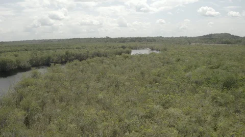 Aerial sails low over the manglars near Venado community in Guania, Colombia Stock-Footage 100794352