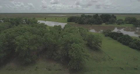 Aerial sails low over trees revealing river in the Llanos Orientales of Colombia Video stock 92849991