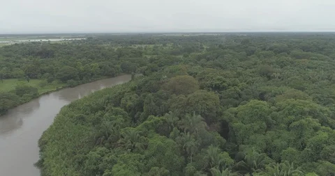 Aerial sails low over trees to follow a river curving through Colombian plains Stock-Footage 92853818