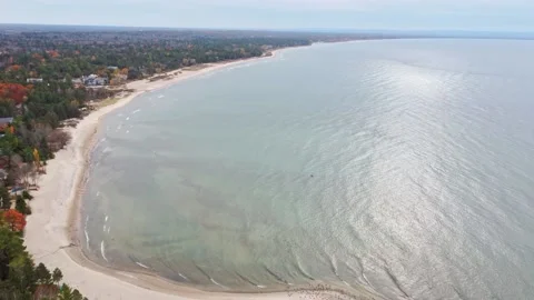Aerial of sand beach with trees in background Stock Footage 169544514