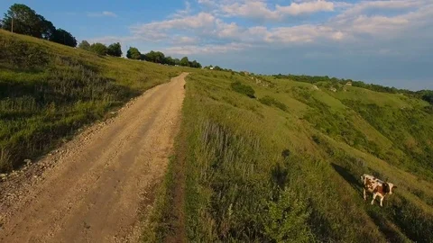 Aerial Satellite Tracking or spying. GPS fleet tracking. Stock Footage 77639744