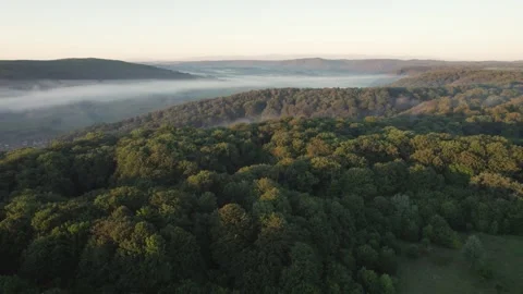Aerial scene of ancient oak trees forest, on Via Transilvanica trail, in Romania Stock Footage 280258148