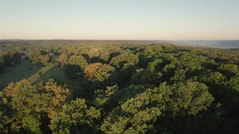 Aerial scene of ancient oak trees forest, on Via Transilvanica trail, in Romania Stock Footage 280258162