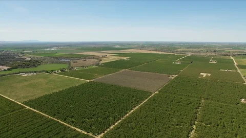 Aerial of scenic patchwork crops fields Central Valley Stock-Footage 91546211