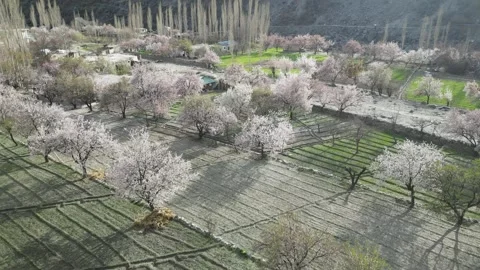 Aerial Scenic View of Spring Nature in Gilgit-Baltistan Stock Footage 345554588