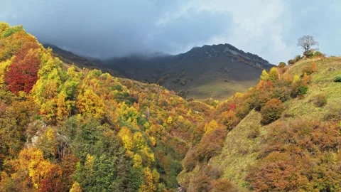 Aerial scenic waterfall in colourful fall forest, autumn hiking in caucasus Stock Footage 305604287