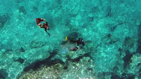Aerial scuba diving training above rocky reef - Safety Drills and Guide Teacher Stock Footage 339753001