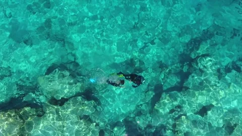 Aerial scuba diving training above rocky reef - Practice Session and Open Water Stock Footage 339753003