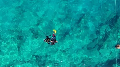 Aerial scuba diving training above rocky reef - Sport Learning and Snorkel Area Stock Footage 339753123